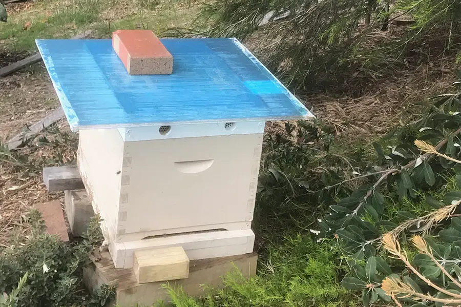 Langstroth beehive with one super