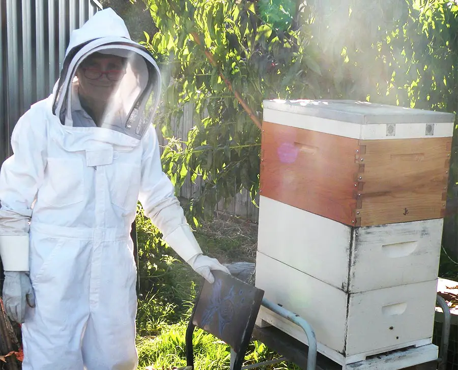 Beekeeper in a white suit standing next to a beehive