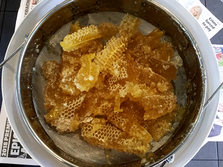 Honey being extracted from comb through a sieve