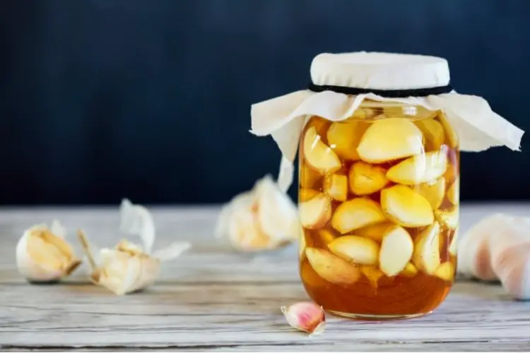 Jar of fermented honey with garlic