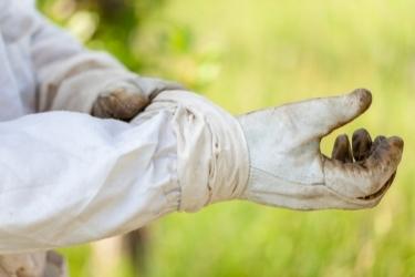 Image of a beekeeping glove