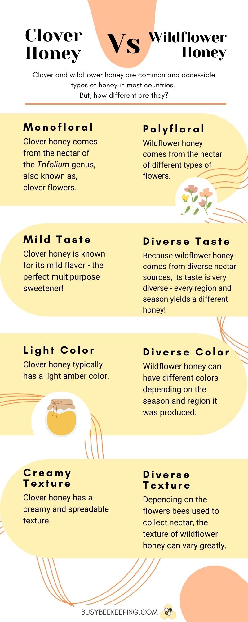 Infographic outlining the main differences between clover and wildflower honey