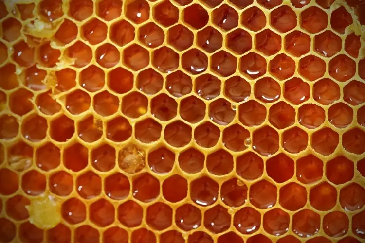 Honeycomb with cells of uncapped honey